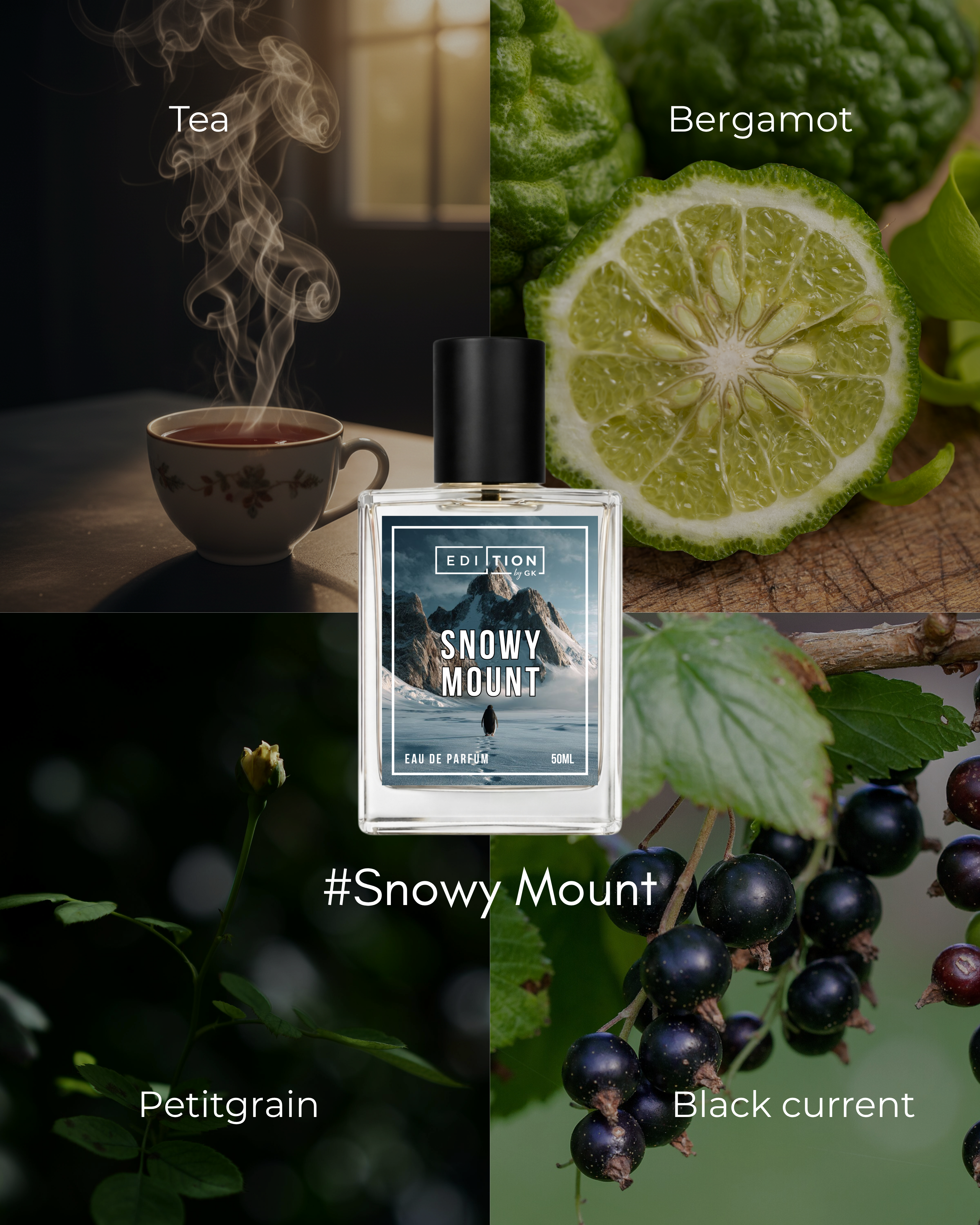 SNOWY MOUNT | CREED DNA