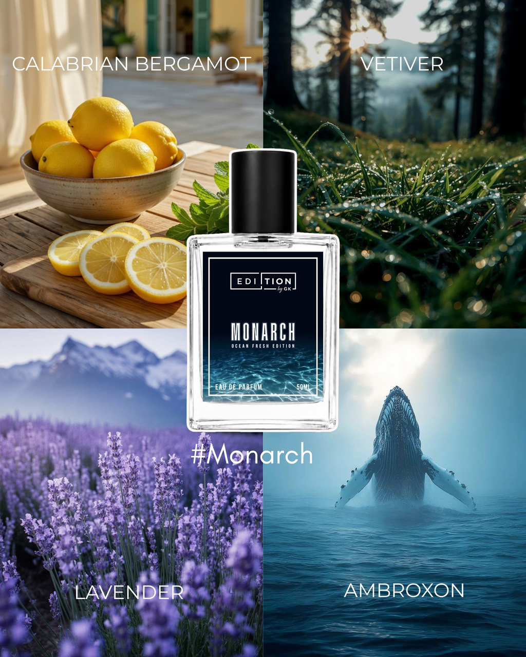 MONARCH | DIOR DNA