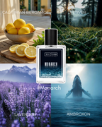 MONARCH | DIOR DNA