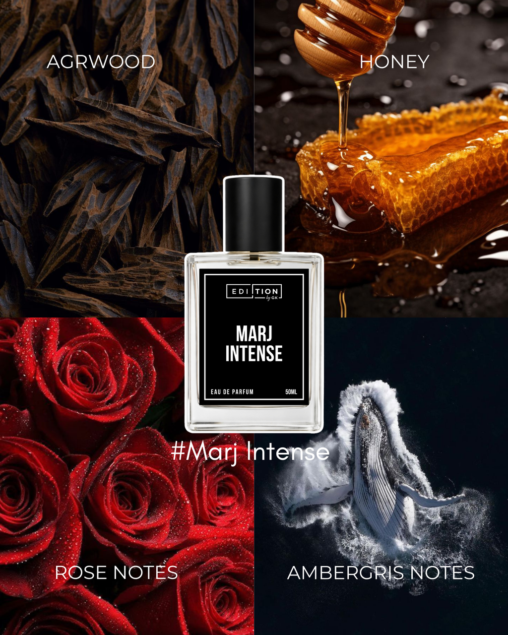 MARJ INTENSE | AHMAD AL MAGRIBI DNA
