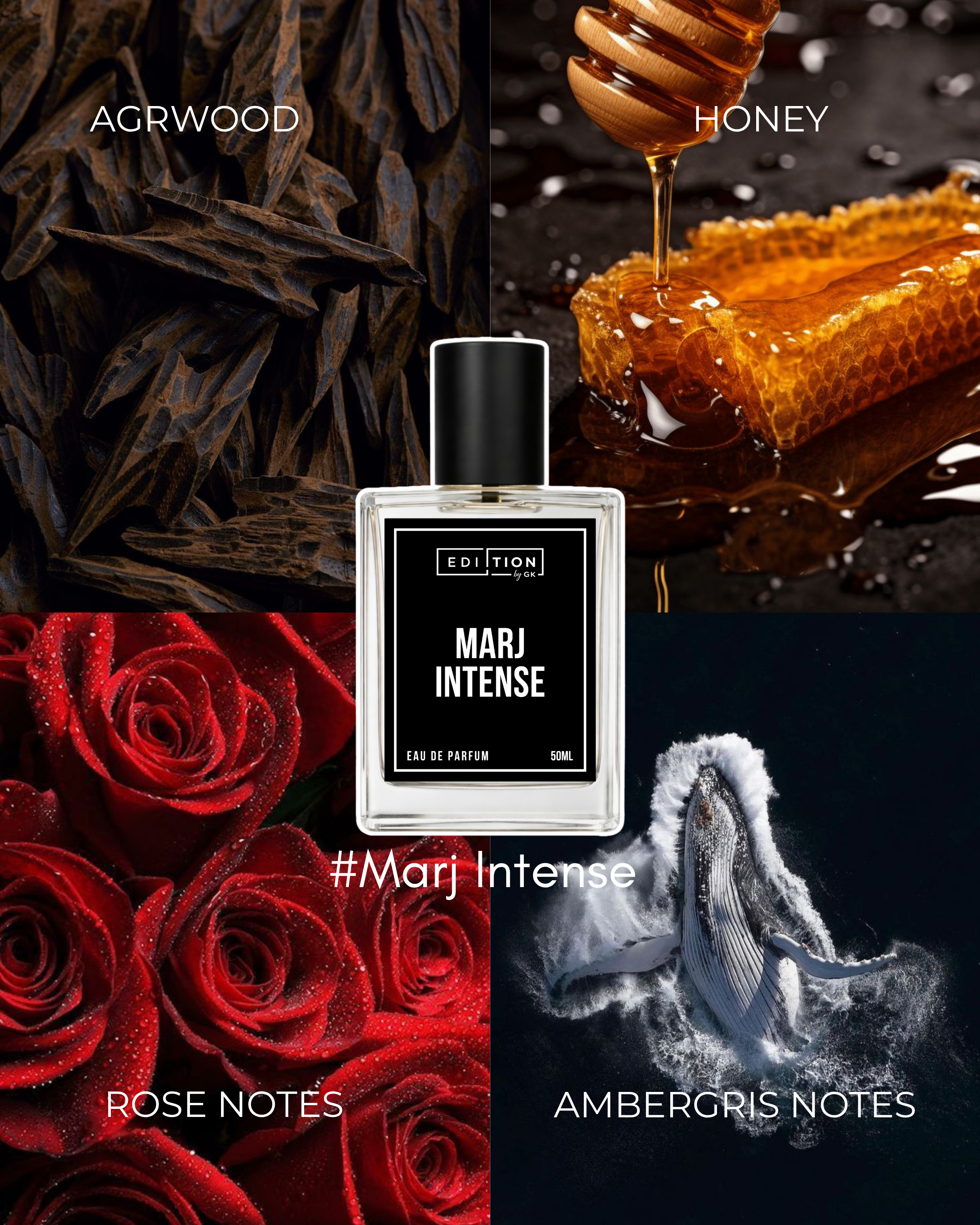 MARJ INTENSE | AHMAD AL MAGRIBI DNA