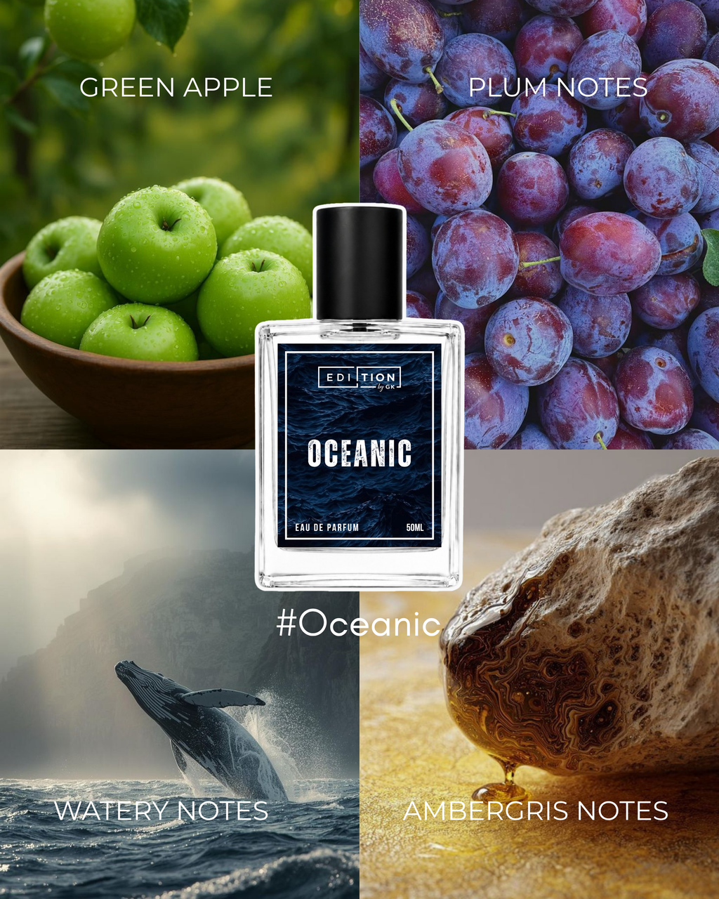 OCEANIC | RASSASI