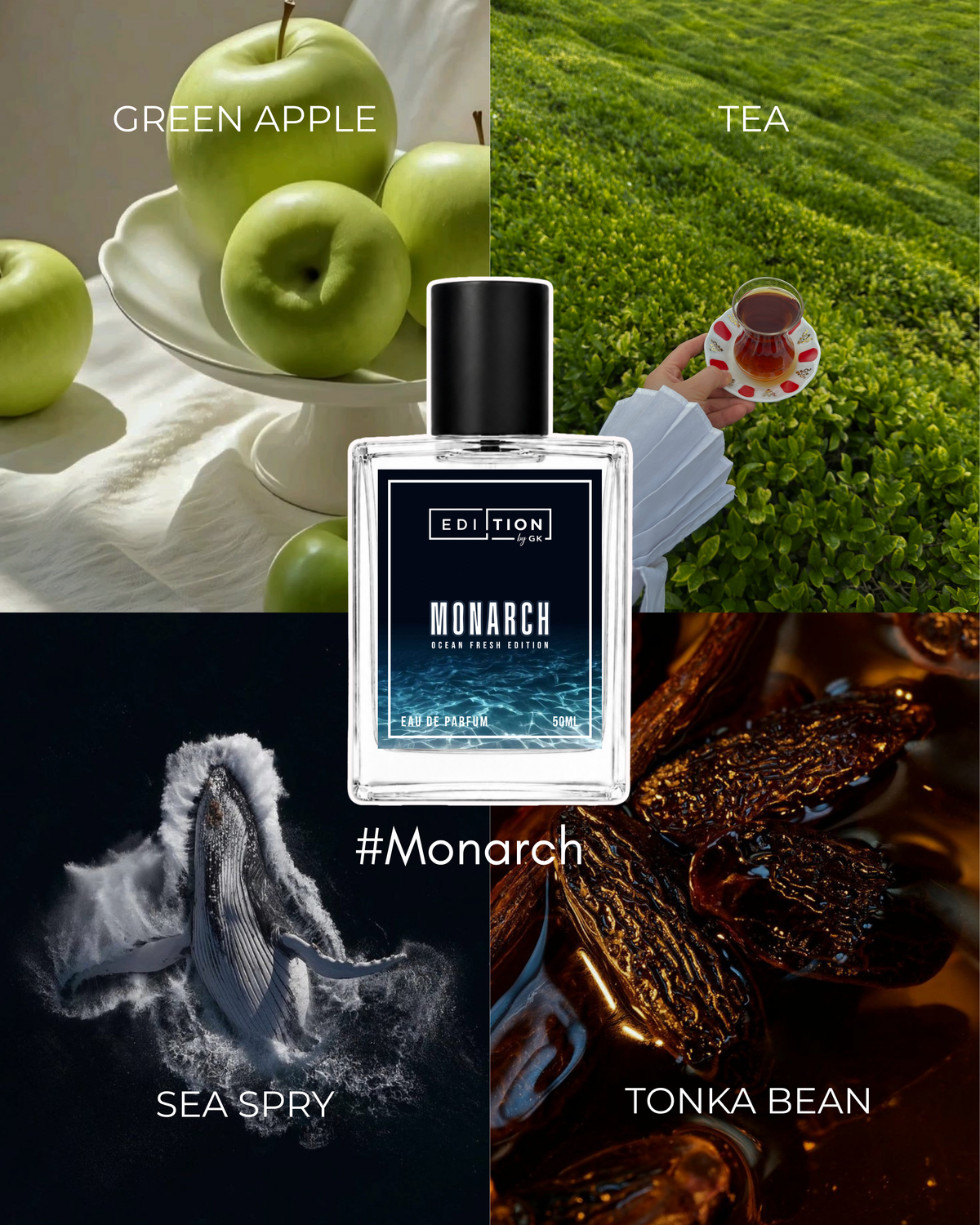 MONARCH | Chrome Legend Azzaro
